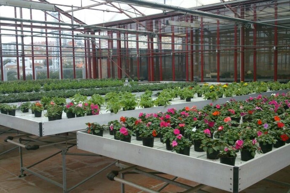 Jardinería